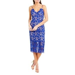 New BARDOT Tayla Cobalt Blue Lace Cocktail Sheath Midi Dress Women's Sz 6